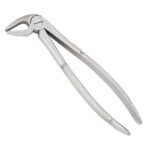 Tooth Forceps For Lower Incisors